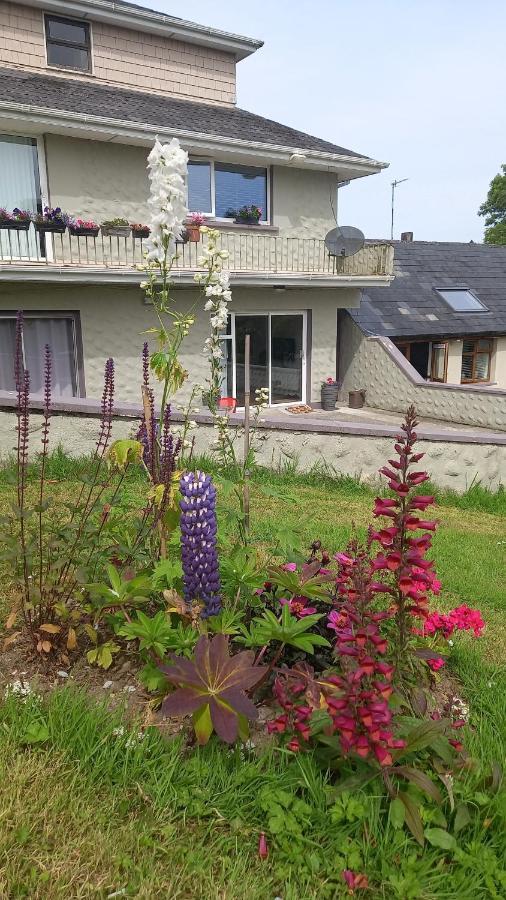 Killarney Saoirse Apartment Екстериор снимка